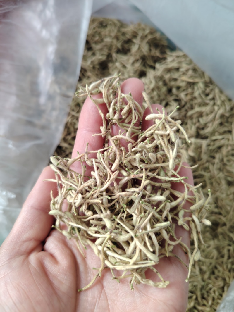 金自家种的金银花，没有打农药，花苞饱自然晾干，气味清香
