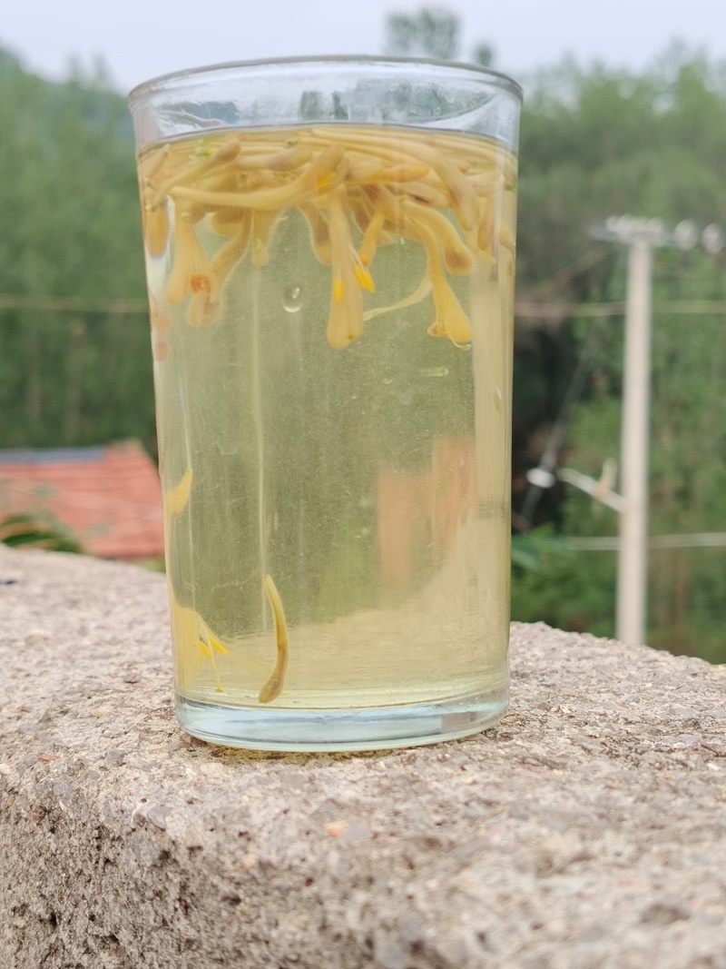 金自家种的金银花，没有打农药，花苞饱自然晾干，气味清香
