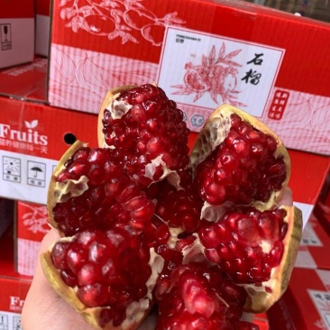 突尼斯软籽石榴电商直播带货软籽石榴一件代发承接直播