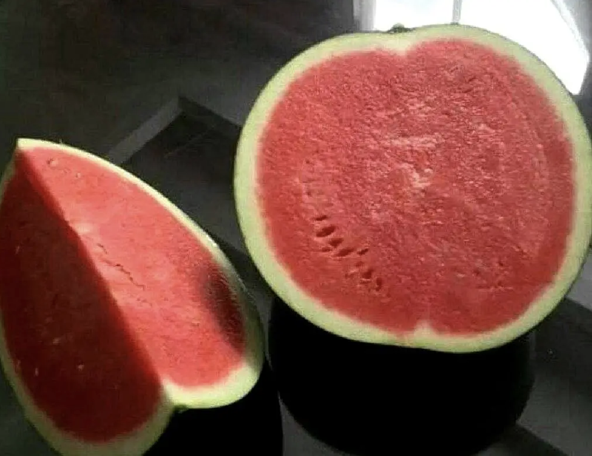 无子西瓜特写