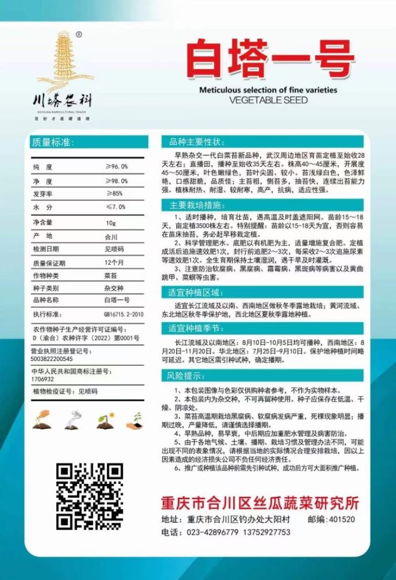 菜苔种子白塔一号早熟45天耐热耐湿苔色白绿丰产抗病
