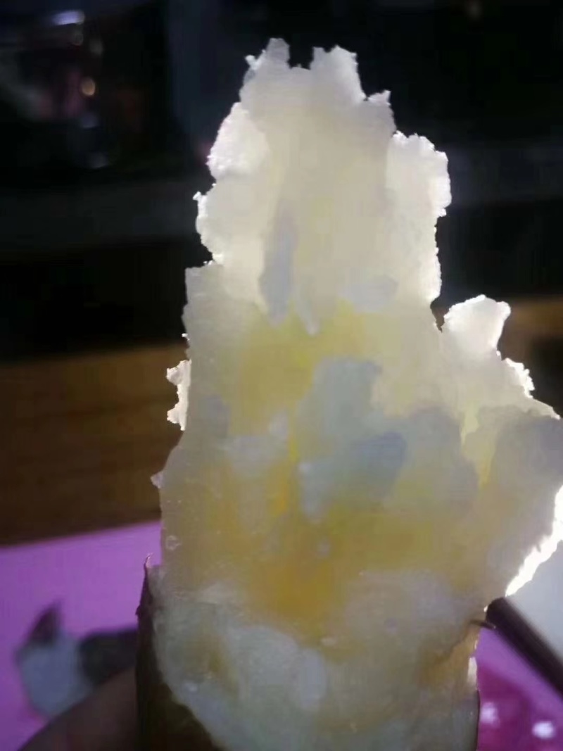 商品薯河南产区直发保质保量发货全国欢迎选购