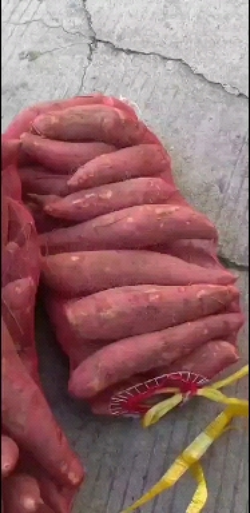 商品薯河南产区直发保质保量发货全国欢迎选购