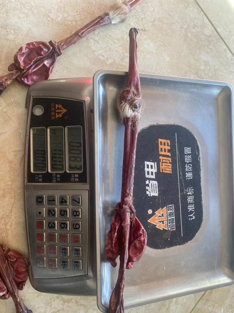 纯东北发情期种鹿鞭整支泡酒男士专用，鹿场售卖，量大从优