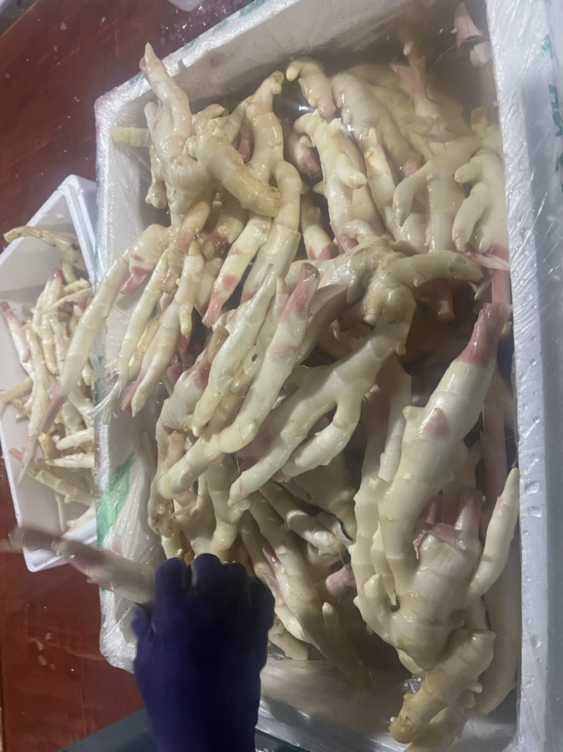 广西红芽仔姜上市产地直发，量大优惠，质量保证