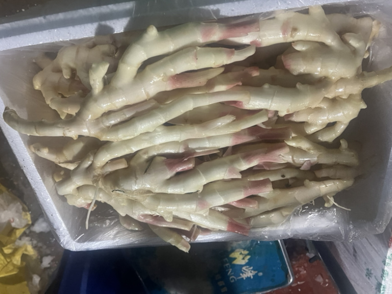 广西红芽仔姜上市产地直发，量大优惠，质量保证