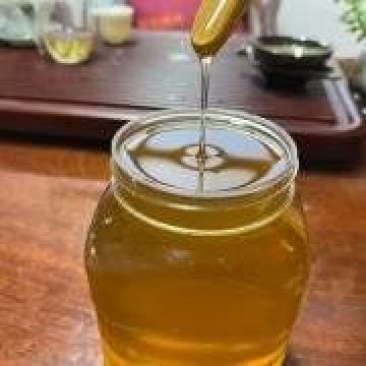 野生蜂蜜