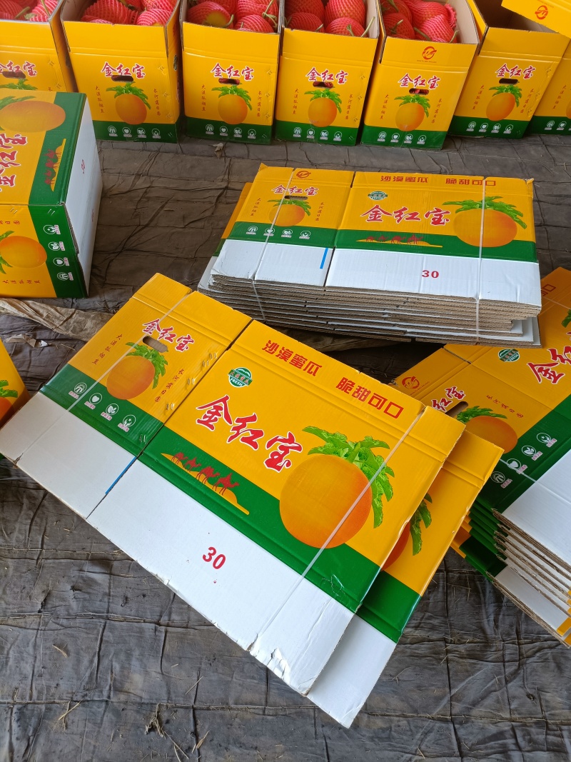 民勤蜜瓜大量上市，本地合作社直接对接商超，供应链和电商平