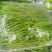 【回头客多】鲜辣椒四川新鲜二荆条量大从优产地直发