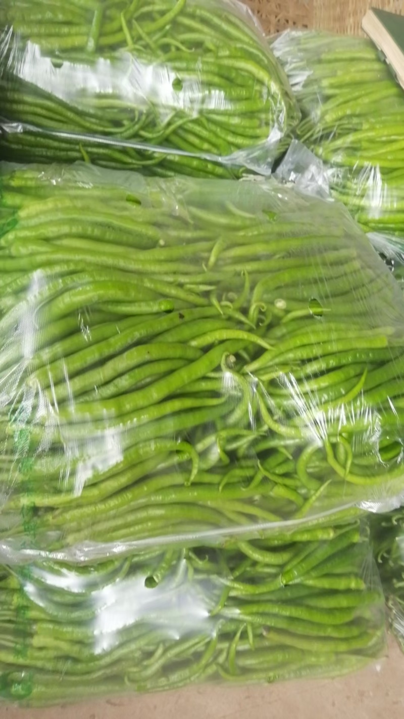 【回头客多】鲜辣椒四川新鲜二荆条量大从优产地直发