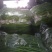 【回头客多】鲜辣椒四川新鲜二荆条量大从优产地直发