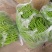 【回头客多】鲜辣椒四川新鲜二荆条量大从优产地直发