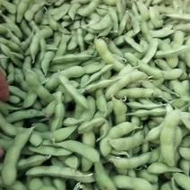 精品毛豆籽粒饱满，色泽翠绿，无虫无病害，货源充足。