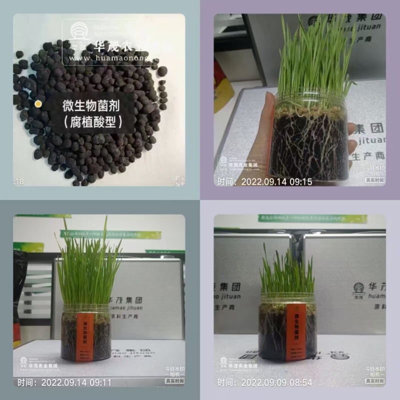 10亿微生物菌剂-矿源腐植酸型