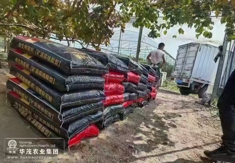 10亿微生物菌剂-矿源腐植酸型