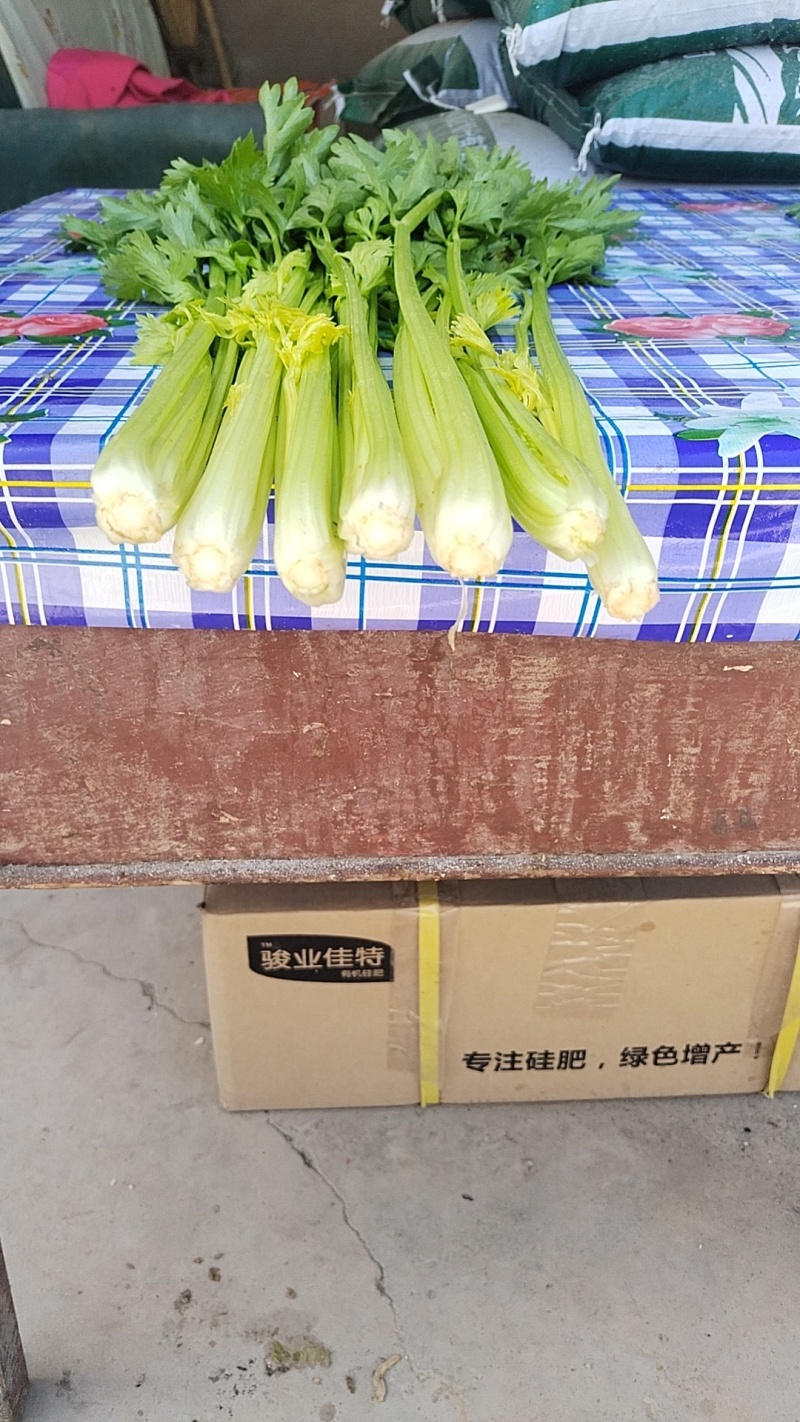 芹菜