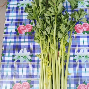 芹菜