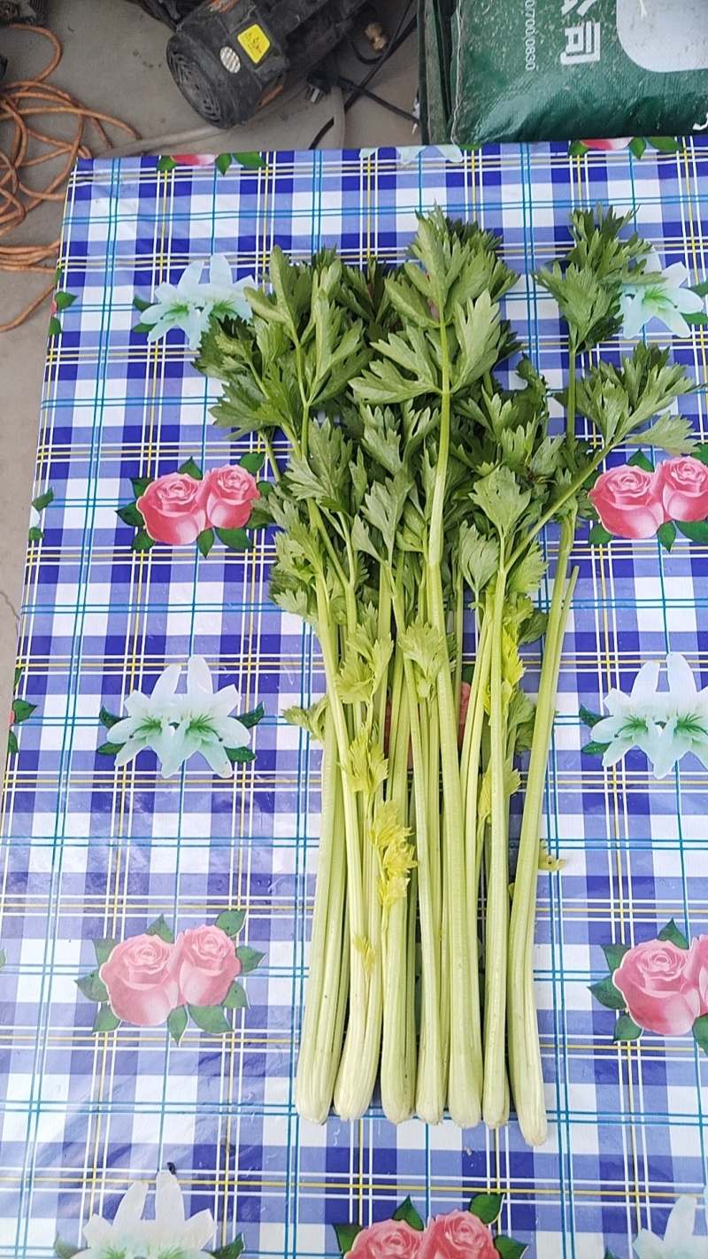 芹菜