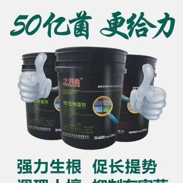 50亿菌剂桶肥