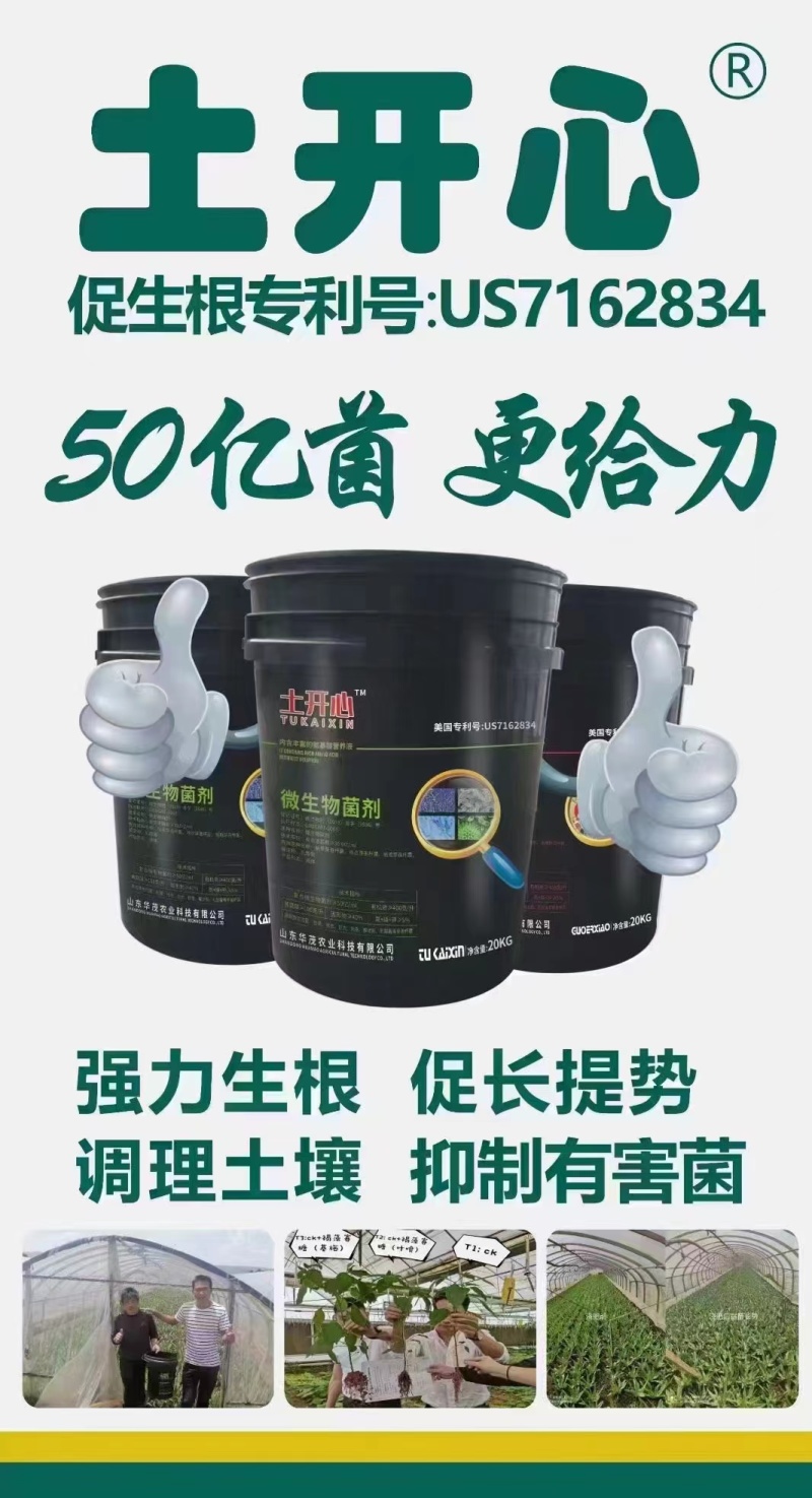 50亿菌剂桶肥