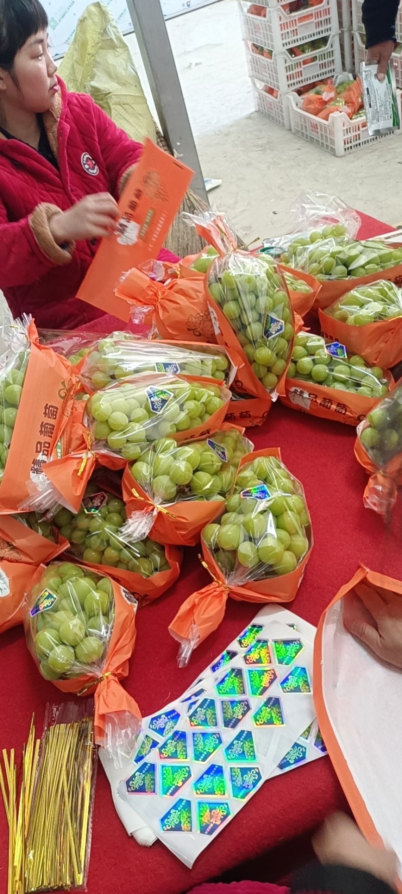 精品阳光玫瑰一首货源产地直发品质保障欢迎合作