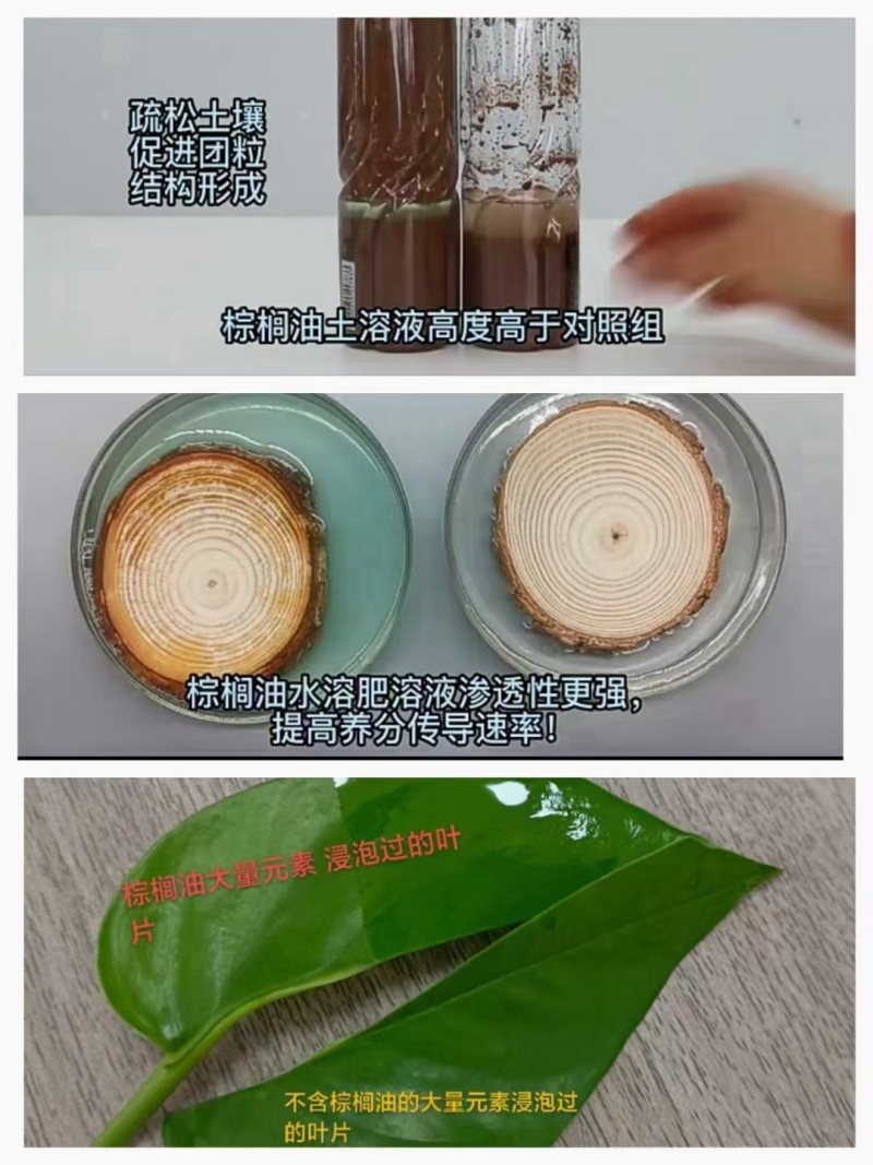 含棕榈油的大量元素水溶肥