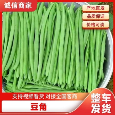 【推荐】小金豆四季豆山西应县豆角产地直供品类齐全量大质优