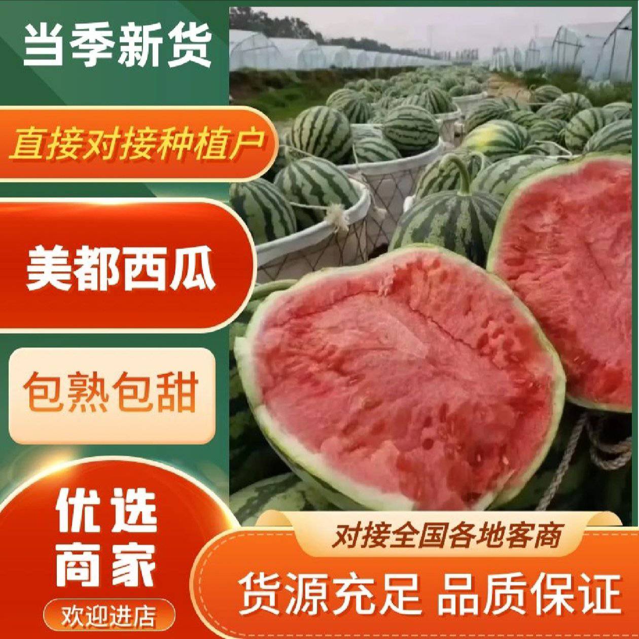 [麒麟西瓜批发]陕西宝鸡岐山县西瓜 0.50元/斤【高品质】 甘 _ 一亩田