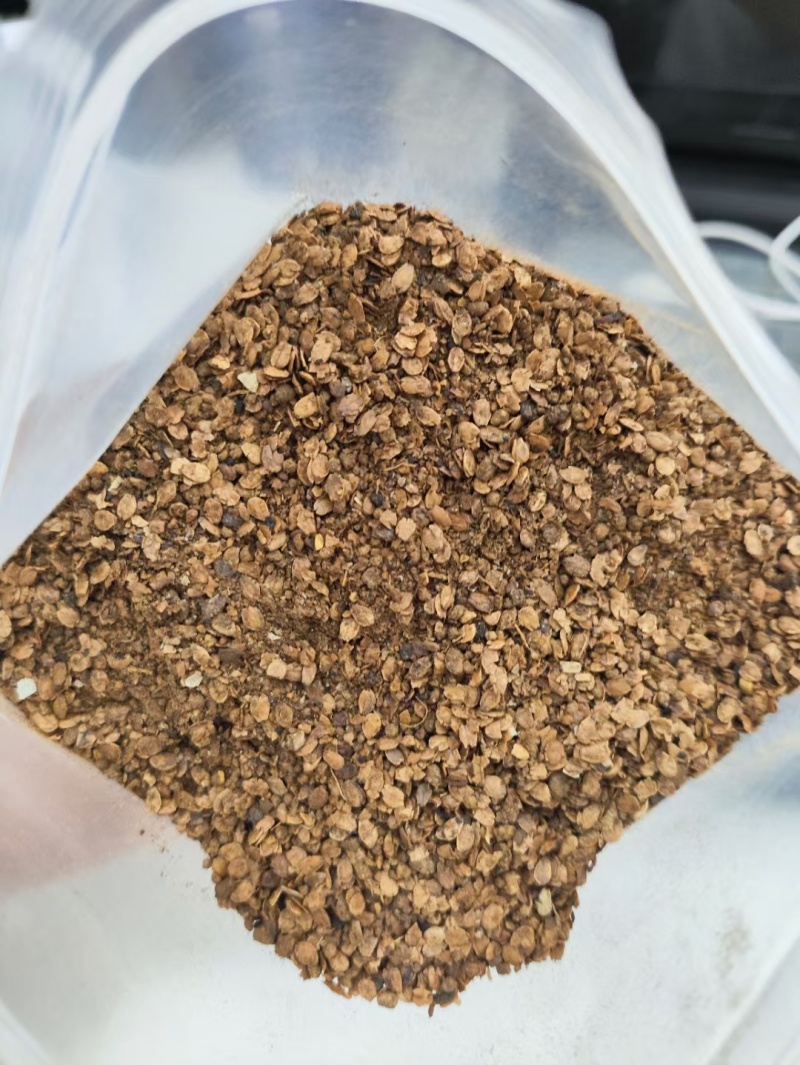 芝麻粕：蛋白44以上，适用牛羊禽水产料