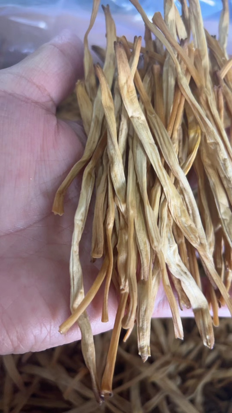宁夏黄花菜