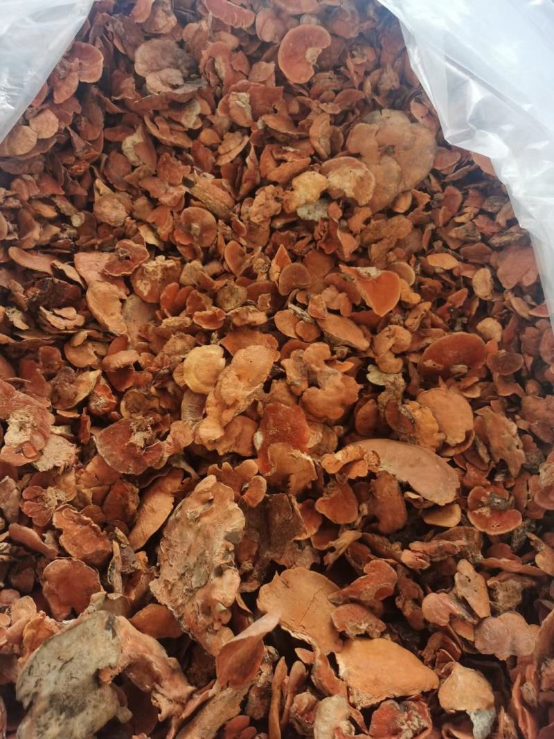 红栓菌，干货包邮