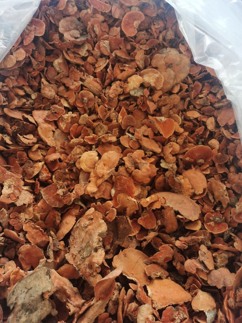 红栓菌，干货包邮