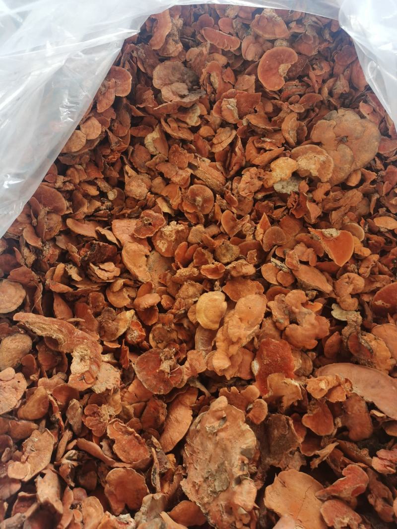 红栓菌，干货包邮