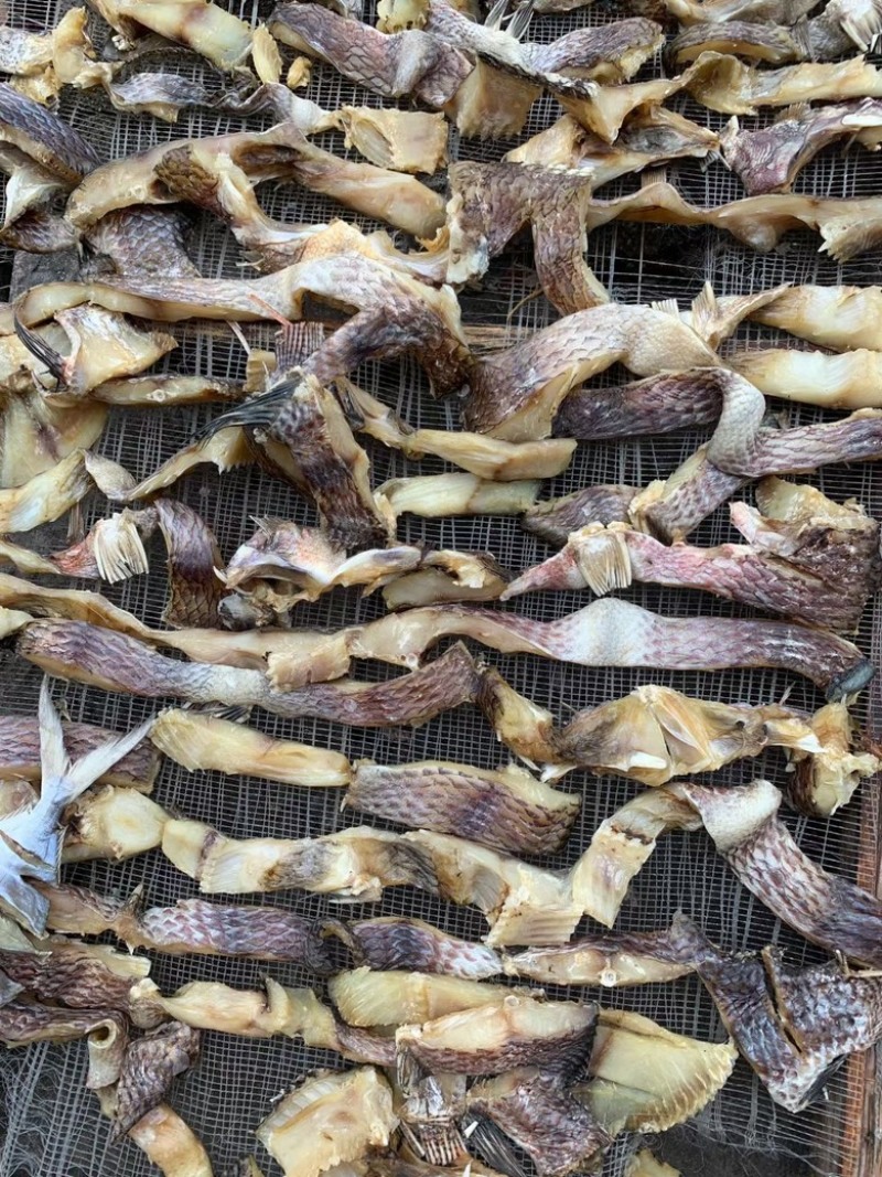 罗非鱼干生晒鱼干罗非鱼条批发