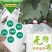 无纺布水果套袋露天葡萄套袋防鸟防水防虫防菌透气自带扎丝