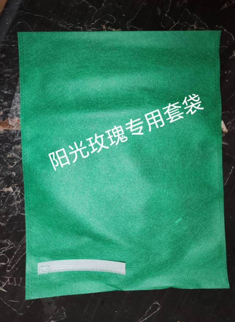 无纺布水果套袋露天葡萄套袋防鸟防水防虫防菌透气自带扎丝