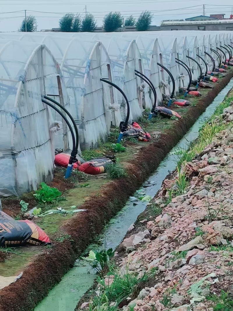 10亿微生物菌剂-矿源腐植酸型