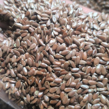 亚麻籽胡麻子大胡麻中药材亚麻籽质量保证量大从优