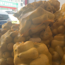 阿根廷奶油南瓜