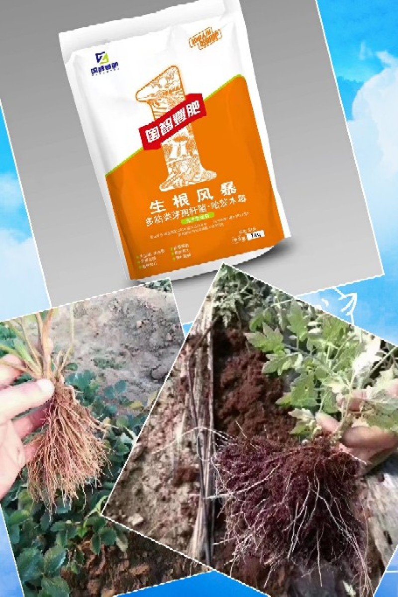 生根风暴快速猛生根壮根肥料防止作物脱水早衰量大优惠