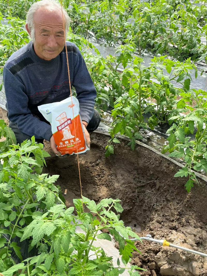 生根风暴快速猛生根壮根肥料防止作物脱水早衰量大优惠