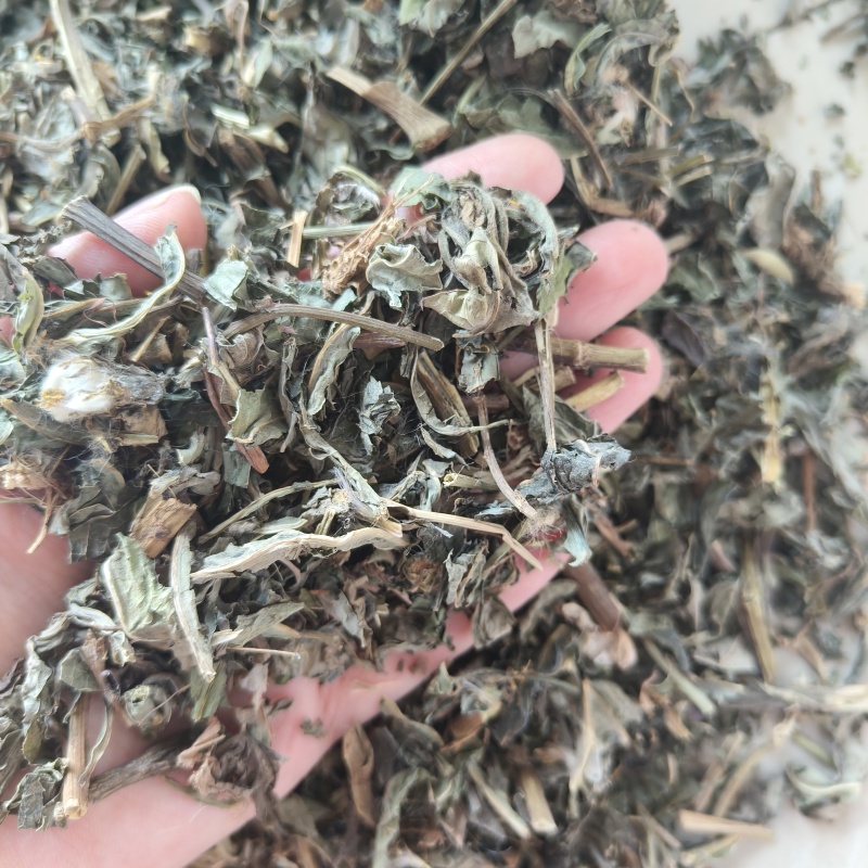 败酱草今年新货祥泰药材栈中药材批发零售实物拍摄量多从
