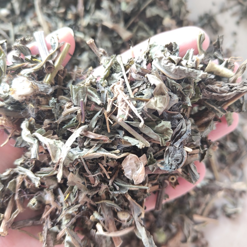 败酱草今年新货祥泰药材栈中药材批发零售实物拍摄量多从
