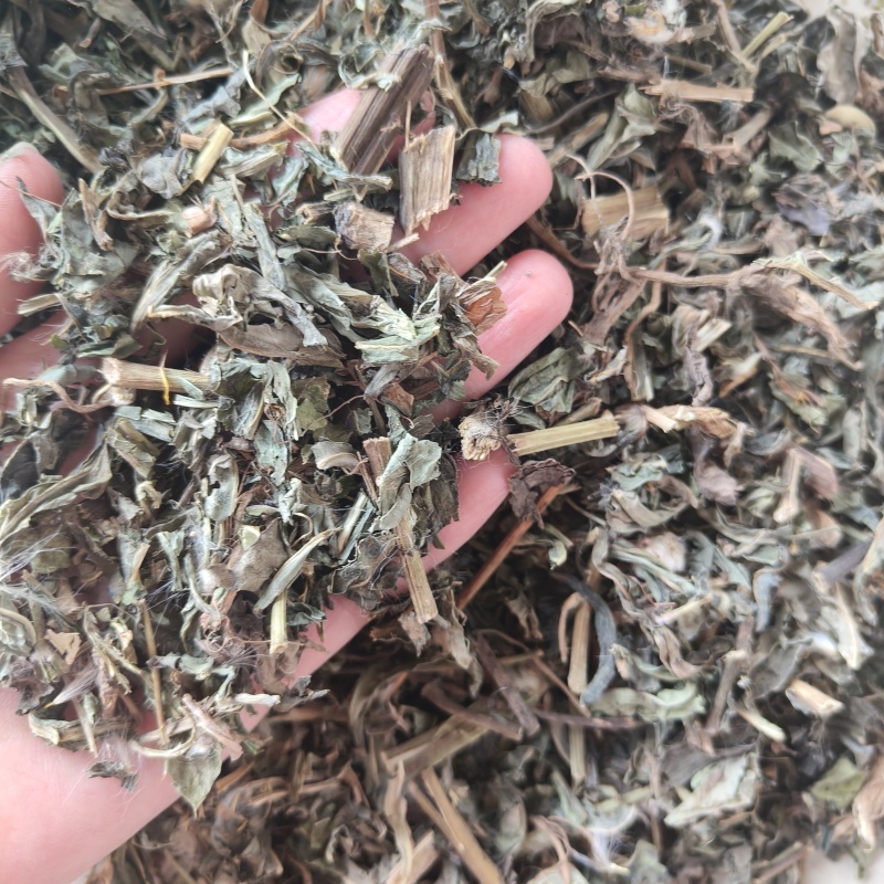 败酱草今年新货祥泰药材栈中药材批发零售实物拍摄量多从