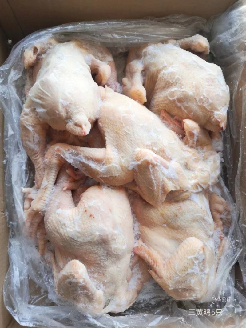 三黄鸡白条（规格齐全）