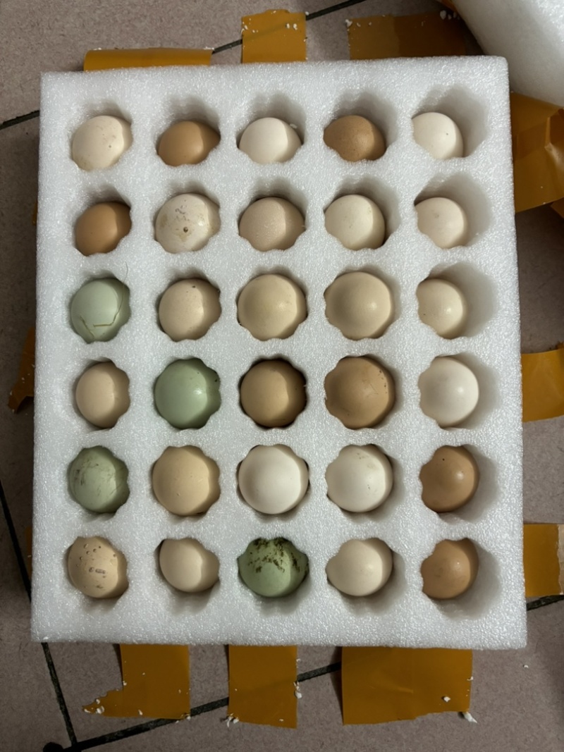 纯粮食鸡蛋
