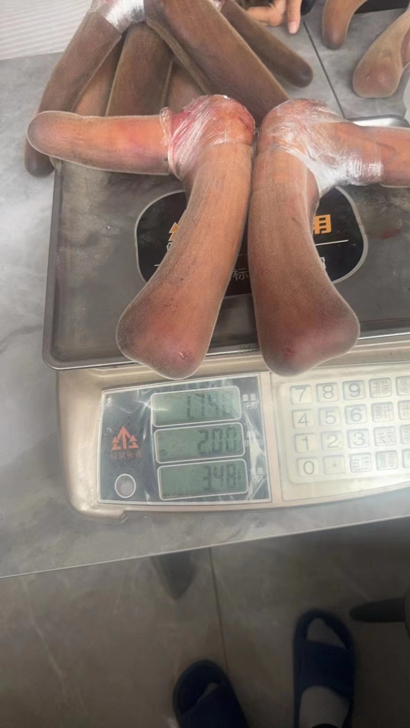 吉林鹿乡鹿茸鹿茸片大量现货质量保证，诚信经营欢迎咨询
