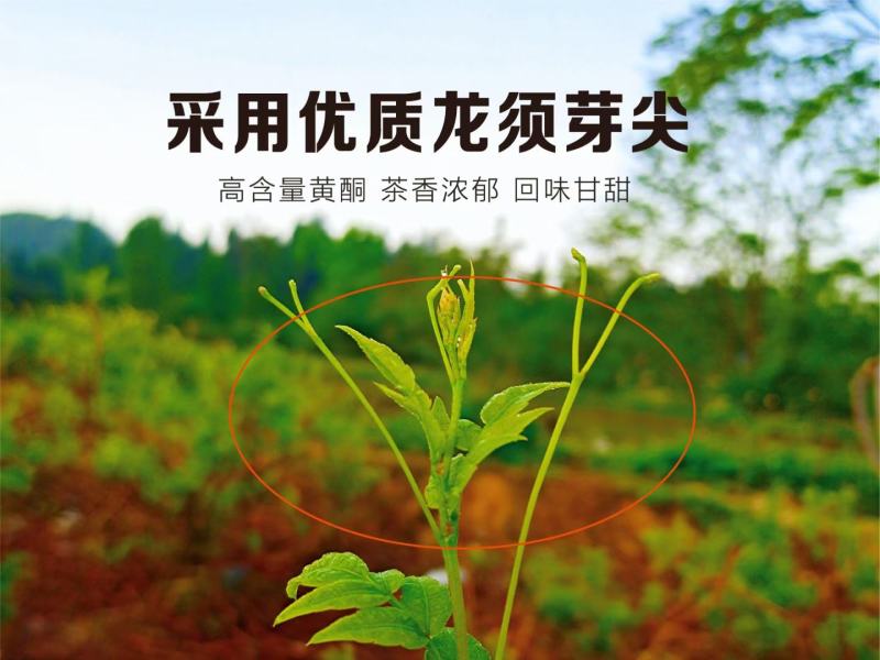 张家界特产【莓茶】