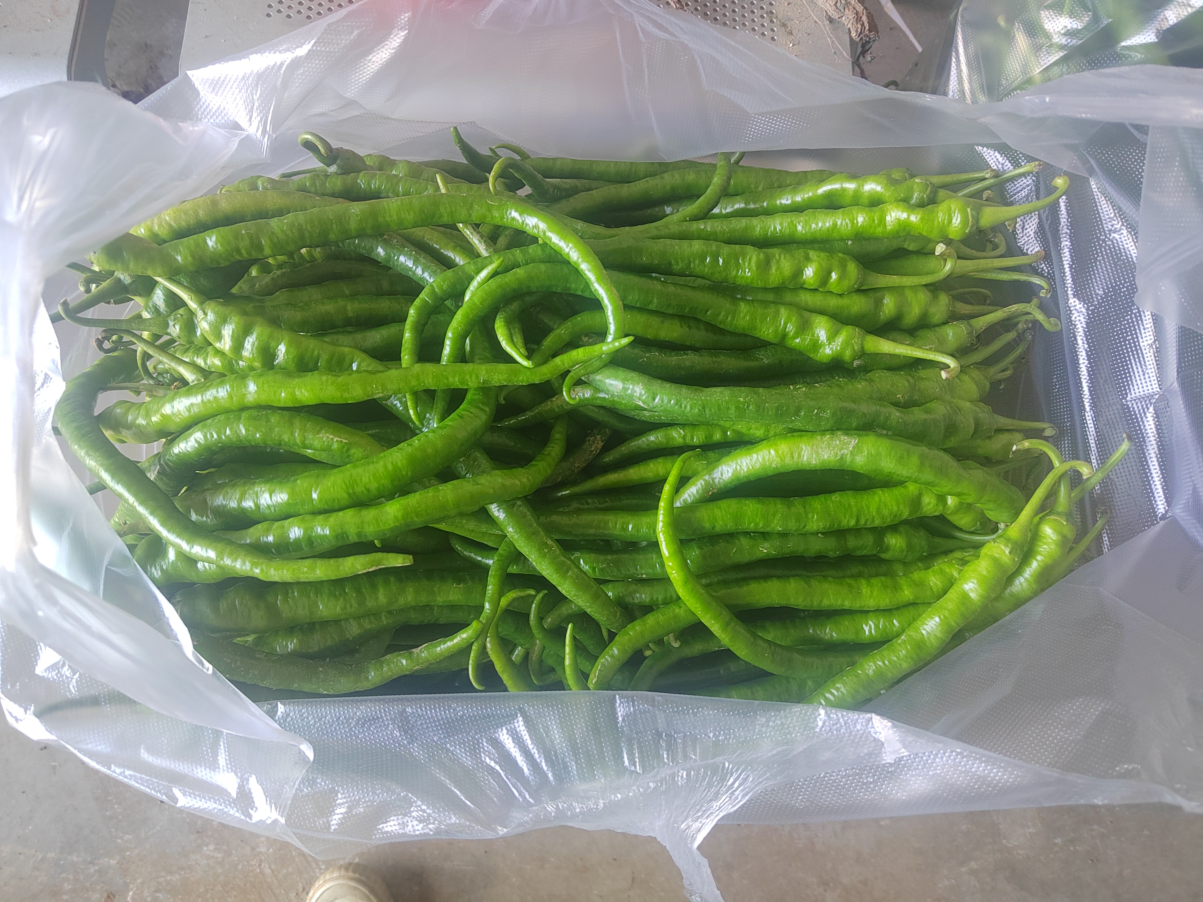 展示一罐高品质新鲜辣椒面产品实物照片 优质辣椒面样品展示图