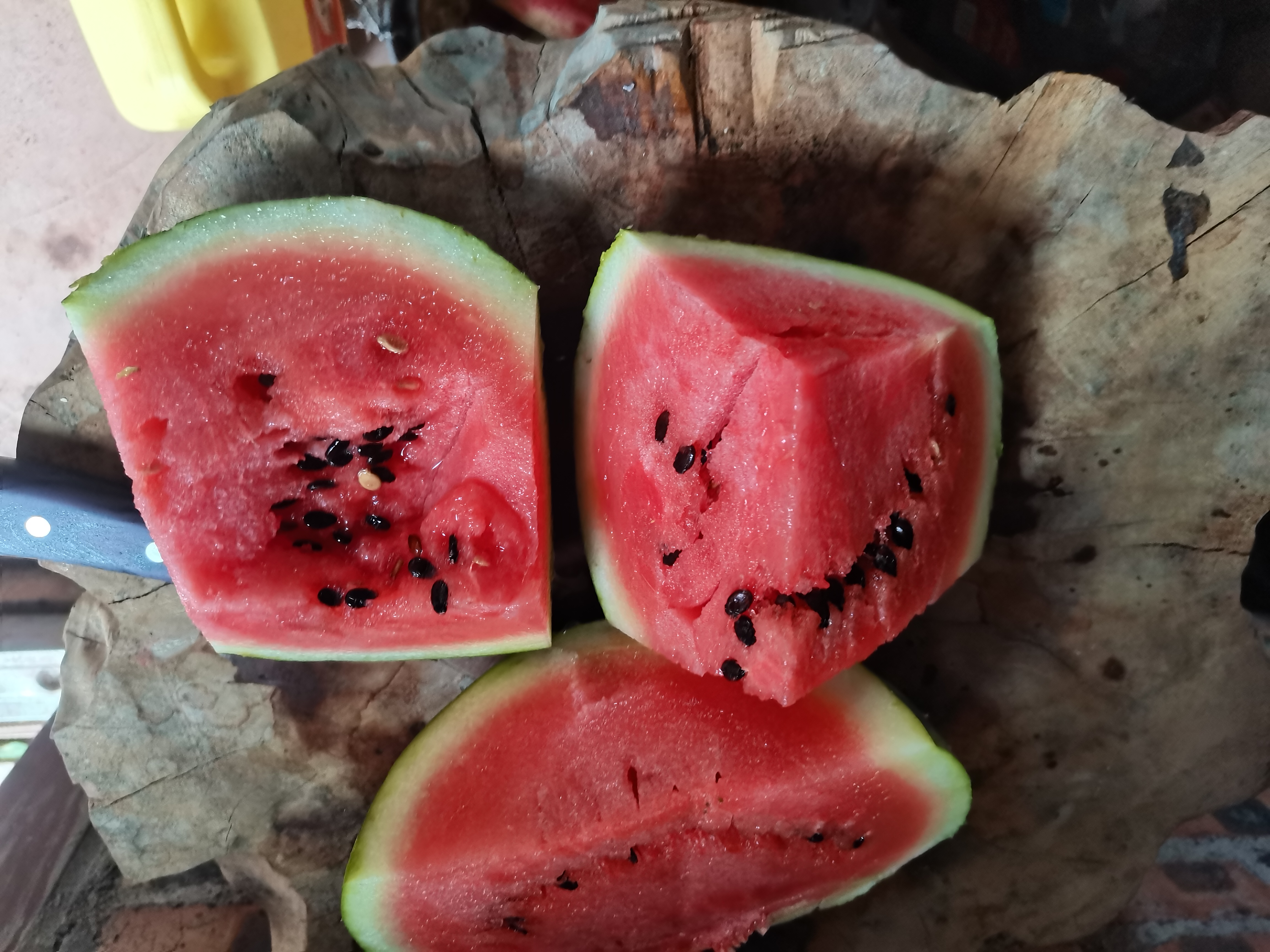 营养师制作美都西瓜健康搭配餐,突出其作为功能性食材的科学食用方式 一位营养师正在厨房中将新鲜美都西瓜切成小块,放入玻璃碗中,旁边配有坚果和希腊酸奶,准备制作健康水果拼盘